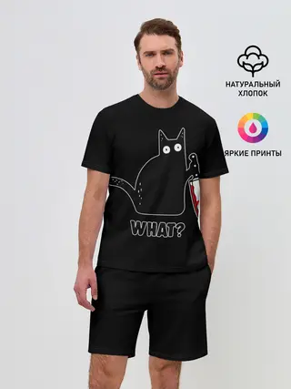 Мужской костюм с шортами / What Cat