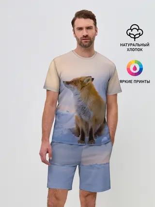 Мужской костюм с шортами / Лисичка