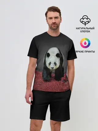 Мужской костюм с шортами / ПАНДА