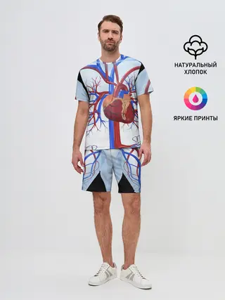 Мужской костюм с шортами / Сердце