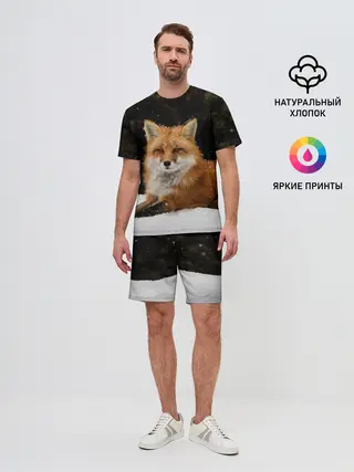 Мужской костюм с шортами / Лиса и снег