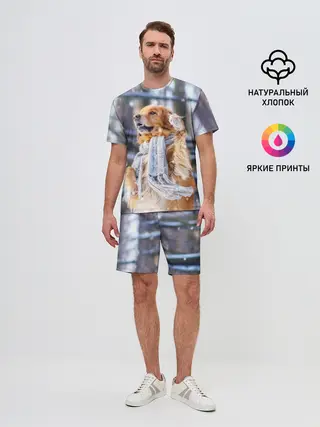 Мужской костюм с шортами / Золотистый Ретривер