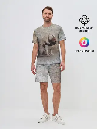 Мужской костюм с шортами / Бойцовый бультерьер