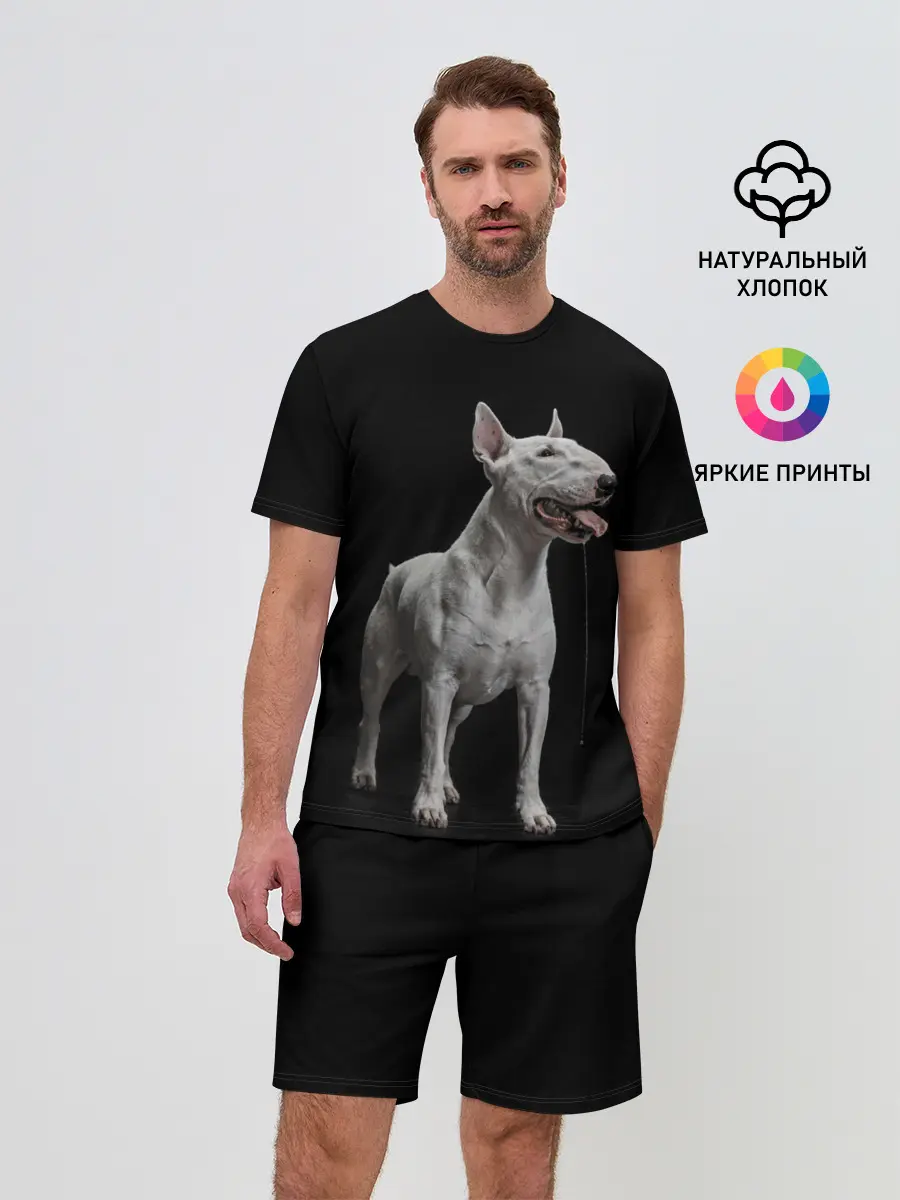 Мужской костюм с шортами / Bully