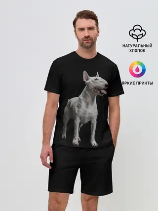 Мужской костюм с шортами / Bully