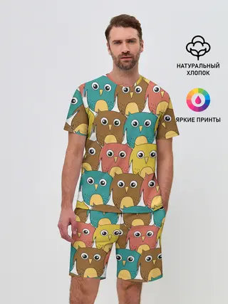 Мужской костюм с шортами / Разноцветные совы