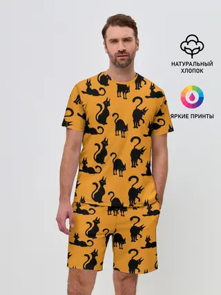 Мужской костюм с шортами / Кошки