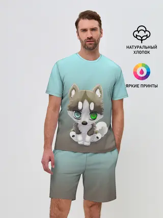 Мужской костюм с шортами / Малыш хаски