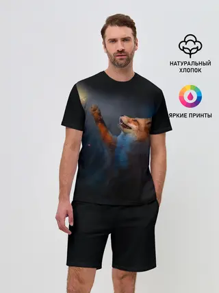 Мужской костюм с шортами / Лиса и огонек