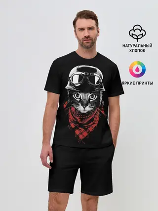 Мужской костюм с шортами / Кот в каске