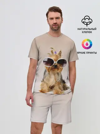Мужской костюм с шортами / собака в очках