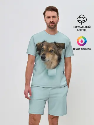 Мужской костюм с шортами / Беспородная Собака дворняга / A Dog