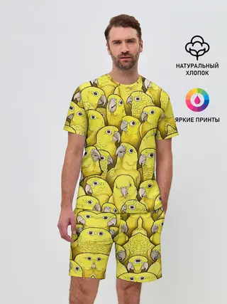 Мужской костюм с шортами / Попугаи