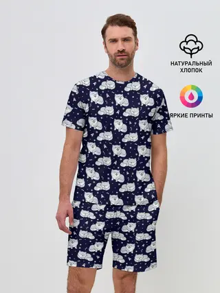 Мужской костюм с шортами / Милая Шиба Ину