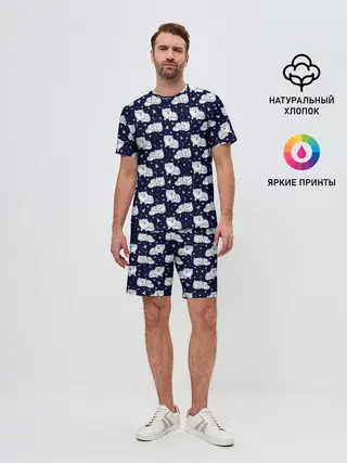Мужской костюм с шортами / Милая Шиба Ину
