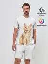 Мужской костюм с шортами / Кошечка