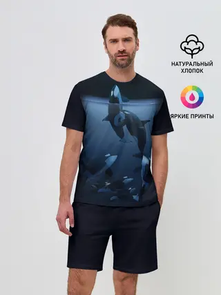 Мужской костюм с шортами / касатки
