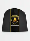 Детская шапка / Lamborghini
