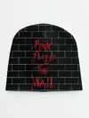 Детская шапка / Pink Floyd