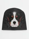 Детская шапка / Cavalier King Charles