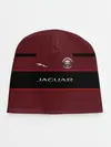 Детская шапка / Jaguar