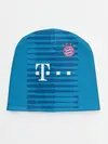 Детская шапка / Neuer home 18-19
