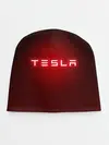 Детская шапка / TESLA