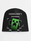 Детская шапка / Minecraft