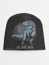 Детская шапка / T Rex