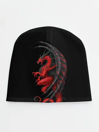 Детская шапка / Red Dragon