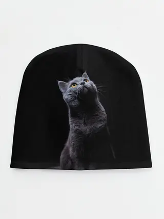 Детская шапка / Кот Британец