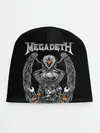 Детская шапка / Megadeth
