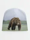 Детская шапка / Россия