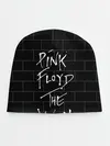 Детская шапка / PINK FLOYD