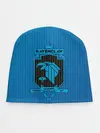 Детская шапка / Ravenclaw