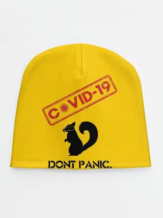 Детская шапка / Dont Panic