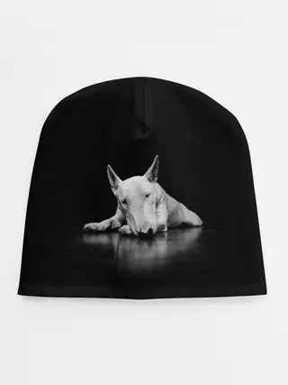 Детская шапка / Puppy