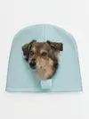 Детская шапка / Беспородная Собака дворняга / A Dog