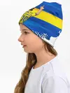 Детская шапка / ЗЛАТАН ИБРАГИМОВИЧ / ШВЕЦИЯ