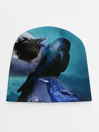 Детская шапка / Мистические вороны | Crows
