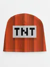 Детская шапка / TNT