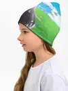 Детская шапка / Echidna