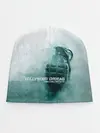Детская шапка / Swan Songs Rarities EP - Hollywood Undead