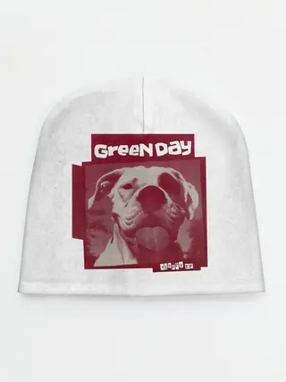 Детская шапка / Slappy - Green Day