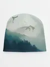 Детская шапка / ДРАКОНЫ НАД ЛЕСОМ / DRAGON