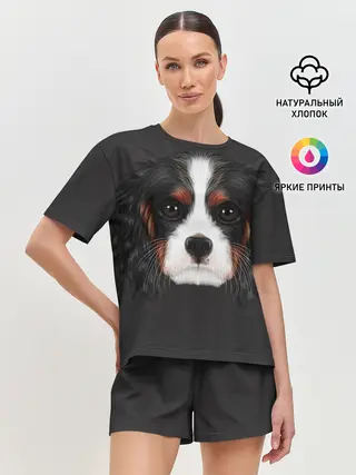 Женская пижама с шортами / Cavalier King Charles