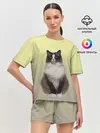 Женская пижама с шортами / персидская пушистая кошка