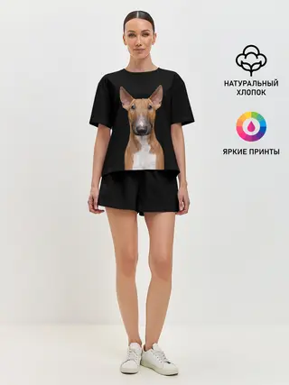 Женская пижама с шортами / Строгий смелый взгляд