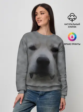 Женский свитшот / Лабрадор