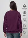 Женский свитшот / Принцесса Зельда